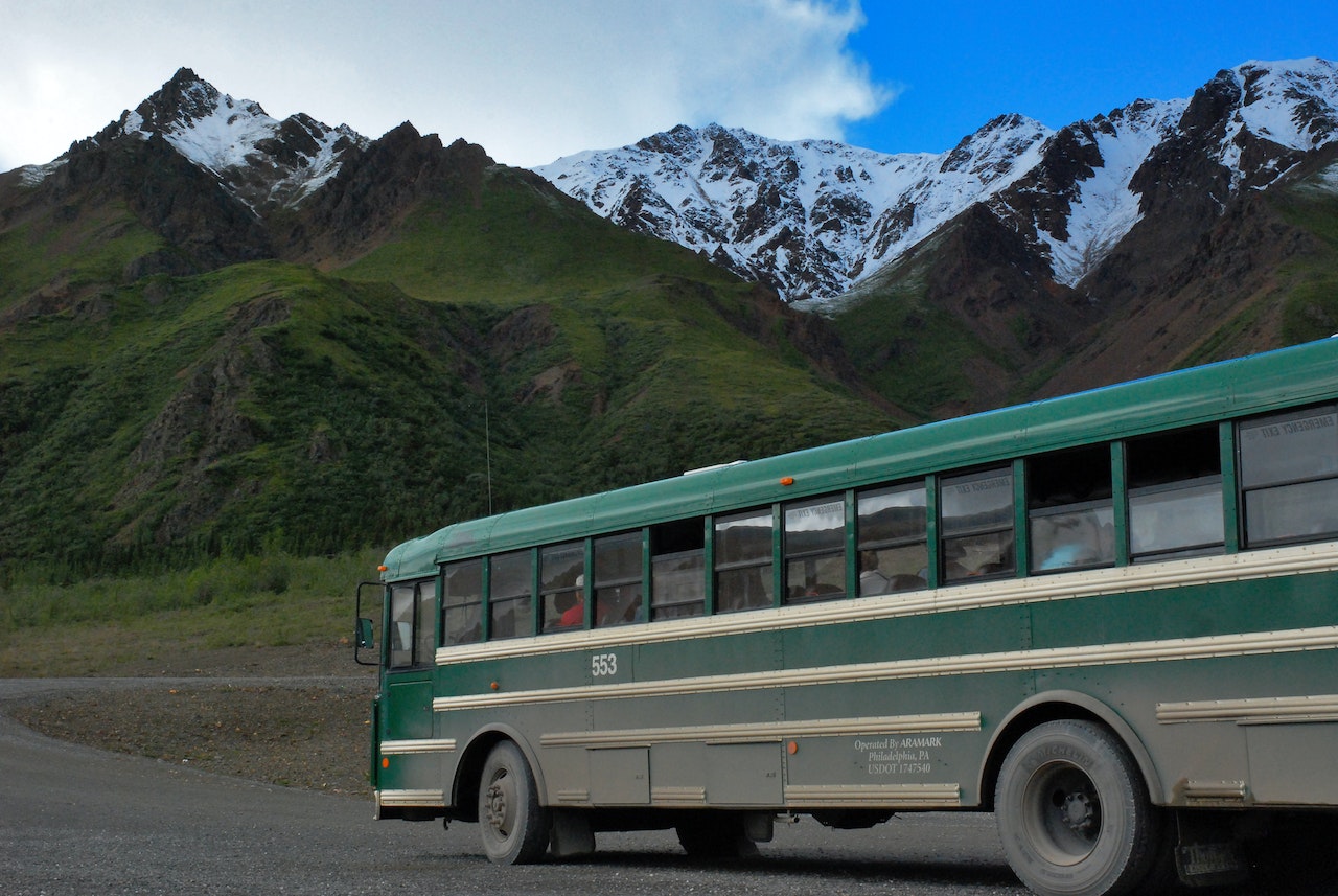 bus4.jpg